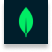 mongoDB.png